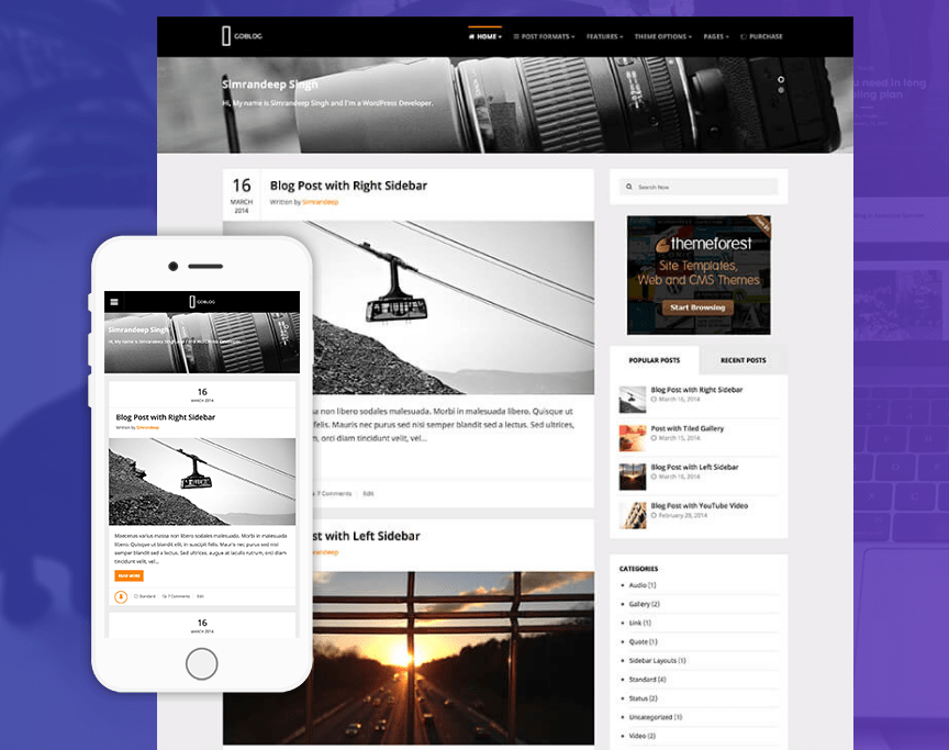 GoBlog WordPress 主题