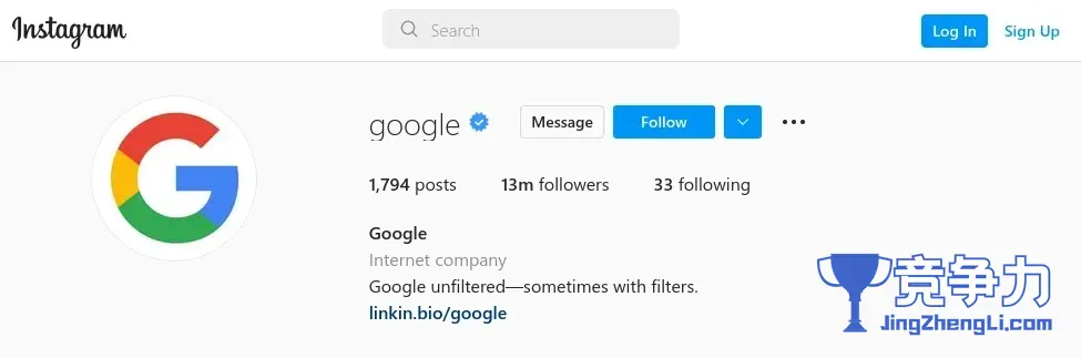 预览 Google 的 Instagram 个人资料摘要的屏幕截图