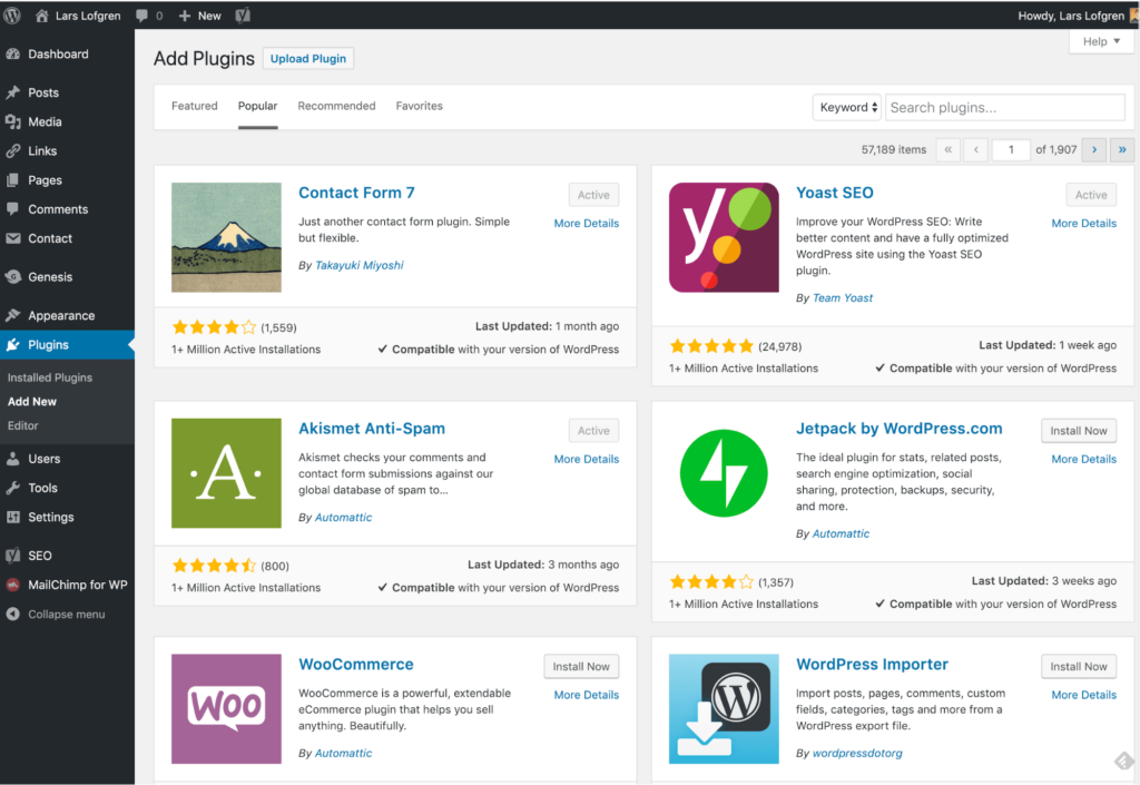 插件选项卡示例上的 WordPress 仪表板。