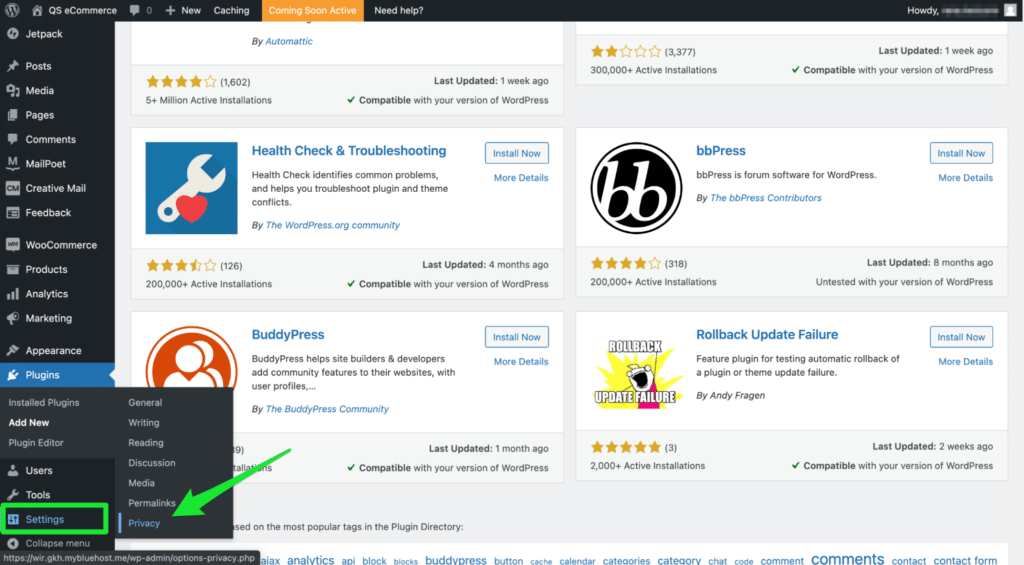 WordPress 设置和隐私选项卡示例。