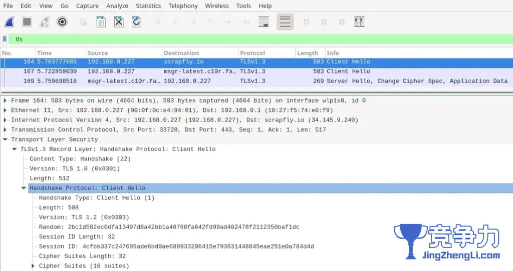 linux 上的 wireshark QT 检查 TLS hanshake