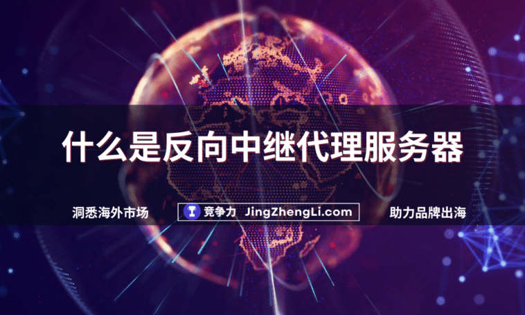 什么是反向中继代理服务器